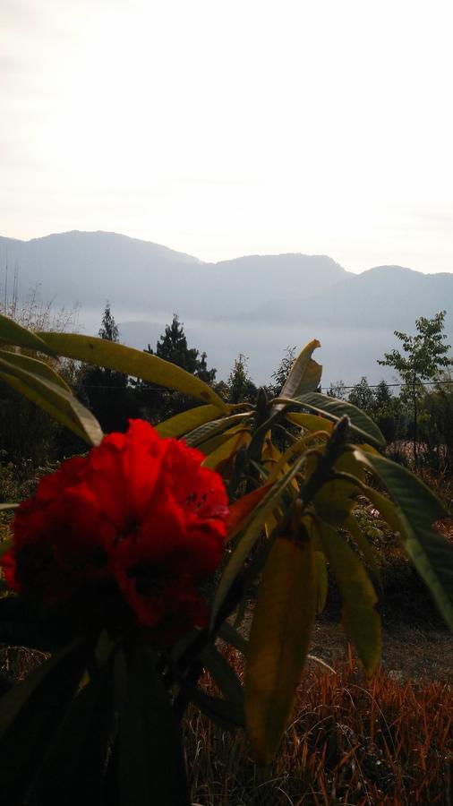 Hotel Neora Valley Retreat Rishop Esterno foto